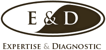 Expertise et Diagnostic